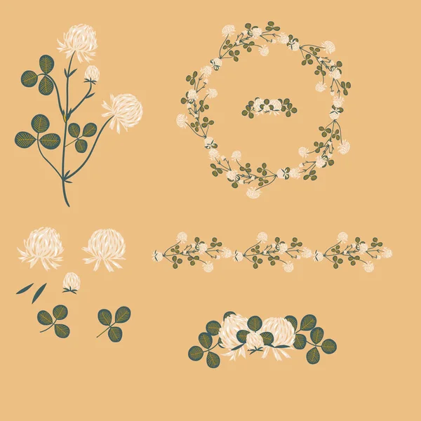 Trifoglio Bianco Fiore Prato Selvatico Clipart Isolato Illustrazione Decorativa Botanica — Vettoriale Stock