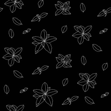 Fesleğensiz desen. İtalyan otları. Marjoram filizi. Fesleğen, mis kokulu bir baharattır. El çizimi illüstrasyon. 