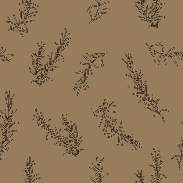 Бесшовные Травы Питания Векторный Фон Розмарин Ручной Рисунок Векторная Иллюстрация — стоковый вектор