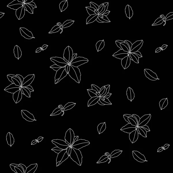 Basil Seamless Pattern Erbe Italiane Rametto Maggiorana Basilico Condimento Profumato — Vettoriale Stock