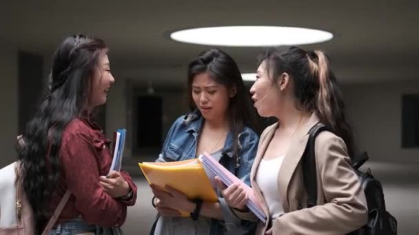 Potret Sekelompok Gadis Asia Menikmati Waktu Bersama Dan Berbicara Kampus — Stok Video