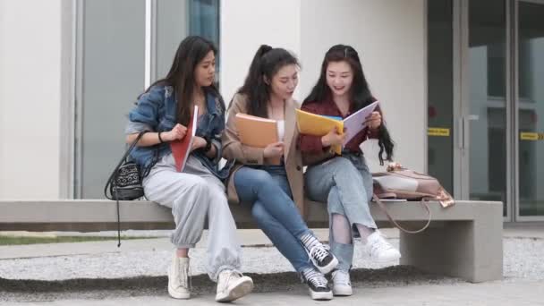 Tres Asiático Chica Estudiantes Hablando Descanso Tiempo Sentado Campus — Vídeo de stock