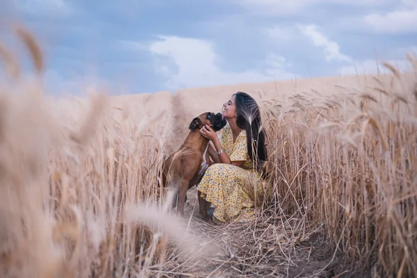 Młoda szczęśliwa kobieta głaskając psa podczas korzystania z natury razem na polu pszenicy. Pojęcie natury i zwierząt. — Zdjęcie stockowe