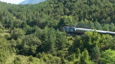 Verdant demiryolu lokomotifi gür orman manzarası boyunca kıvrılıyor, manzaralı vahşi doğa manzarasını ve uzak kırsal yolculuğun doğal güzelliğini gözler önüne seriyor