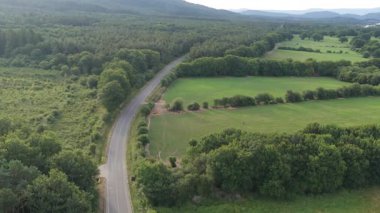 Yoğun yeşil ormanla kırsal kesimlerdeki geniş tarım alanları arasında uzanan eğimli bir asfalt yolu takip eden yüksek açılı hava görüntüsü.