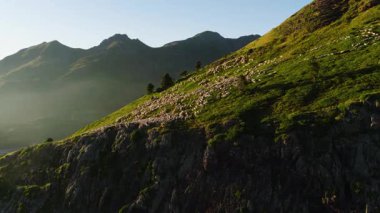 Büyük bir koyun sürüsü, altın bir gündoğumu sırasında sarp, yeşil bir dağ yamacında huzur içinde otluyor. Görkemli dağ zirveleri ve puslu vadiler nefes kesici bir zemin oluşturur.