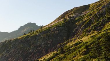 Sersemletici dağ manzarası güzel bir altın saat boyunca sarp yeşil bir çayırda huzur içinde otlayan büyük bir koyun sürüsünü gözler önüne seriyor.