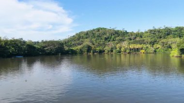 Kosta Rika 'daki yemyeşil mangrov ormanıyla çevrili Sierpe Nehri' nin sakin sularında yelken açarken panoramik manzara