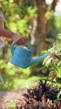 Parlak mavi bir sulama tenekesi tutan insanlar, yemyeşil yeşil yapraklı, yemyeşil, yemyeşil bir bahçede açan çiçeklerle ilgilenirler.