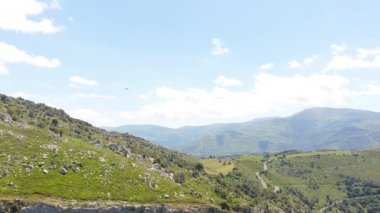 Görkemli griffon akbabası, yemyeşil dağların ve Yunan adasının derin kanyonlarının üzerinde özgürce süzülüyor.