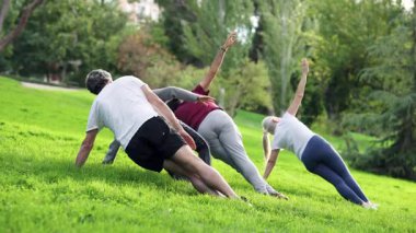 Güneşli bir günde, yeşil bir parkta, açık havada yoga dersi sırasında yan tahta pozu veren bir grup olgun arkadaşın arka görüntüsü.