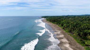 Koyu kum, yeşil orman ve mavi gökyüzü altında beyaz okyanus dalgalarıyla tropikal kıyı şeridini görüntüleyen hava manzarası