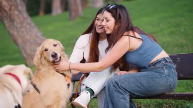 İki gülümseyen genç kadın parkta bir bankta oturmuş, mutlu mesut sevişiyorlar ve dost canlısı Golden Retriever köpekleriyle etkileşime geçiyorlar.