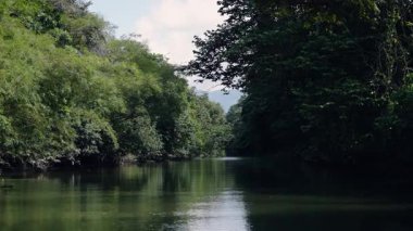 Bakış açısı, Kosta Rika 'nın tropik cennetinde yoğun, yeşil bir mangrov ormanıyla çevrili sakin bir nehir boyunca giden bir teknede çekilmiş.