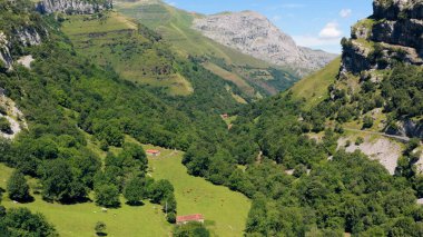 İnekler yemyeşil otlaklarda otlar dağınık çiftlik evleri, sarp orman tepeleri ve kayalık tepelerle çevrili