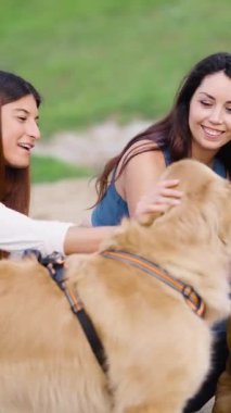 Mutlu genç bayan arkadaşlar dışarıda vakit geçiriyorlar, muhabbet ediyorlar ve parkta güzel bir golden retriever 'ı okşuyorlar.