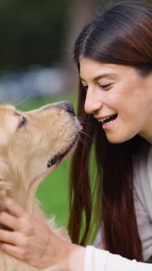 Güzel Golden Retriever köpeğinden sevgi dolu yalamalar alan mutlu genç bir kadın. Evcil hayvan ve sahibi arasındaki sevgi bağını bitir.