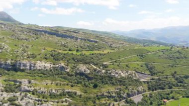 Görkemli griffon akbabası, güzel yeşil bir dağ vadisinde, çimentoda zarifçe süzülüyor, Yunan. Kayalık arazinin havadan görünüşü