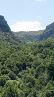 Uçsuz bucaksız yeşil bir vadinin panoramik manzarası kayalık dağlarla çevrili. Güneşli bir yaz gününde çayırda huzur içinde otlayan inek sürüsü. Dikey görüntüler