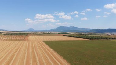 İnsansız hava aracı geniş bir kırsal alan üzerinde alçaktan uçuyor. Güzel altın buğday tarlaları, dağlı mavi gökyüzünün altındaki yeşil çayırların yanında.
