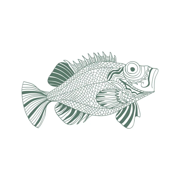 Vázlatos hal tengeri sügér rajzfilm stílusban, fehér alapon — Stock Vector
