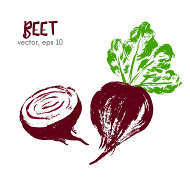 Pancarın eskizli sebze illüstrasyonu. Elle çizilmiş fırça gıda i