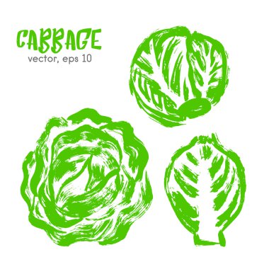 Lahananın eskizli sebze illüstrasyonu. Elle çizilmiş fırça foo