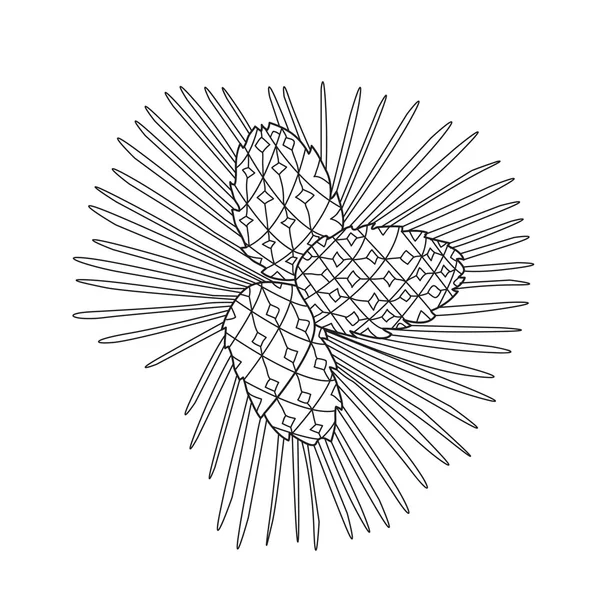 Zentangle the Baikal pinecones for adult anti stress Coloring Pa — 스톡 벡터