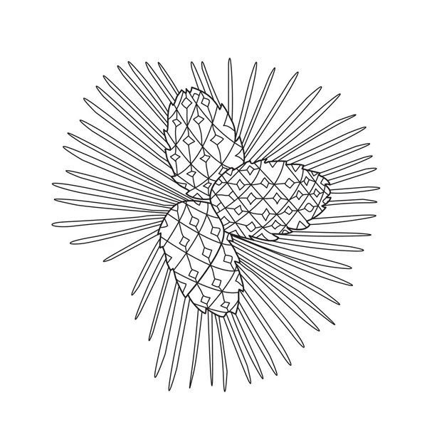 Zentangle the Baikal pinecones for adult anti stress Coloring Pa — 图库矢量图片