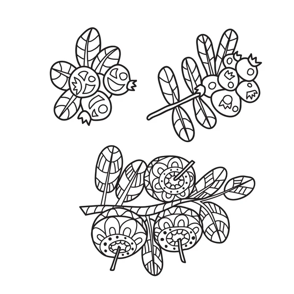 Zentangle the Baikal berries: cranberries and blueberries — ストックベクタ