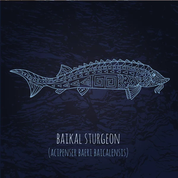 100,000 Sturgeon Vector Images