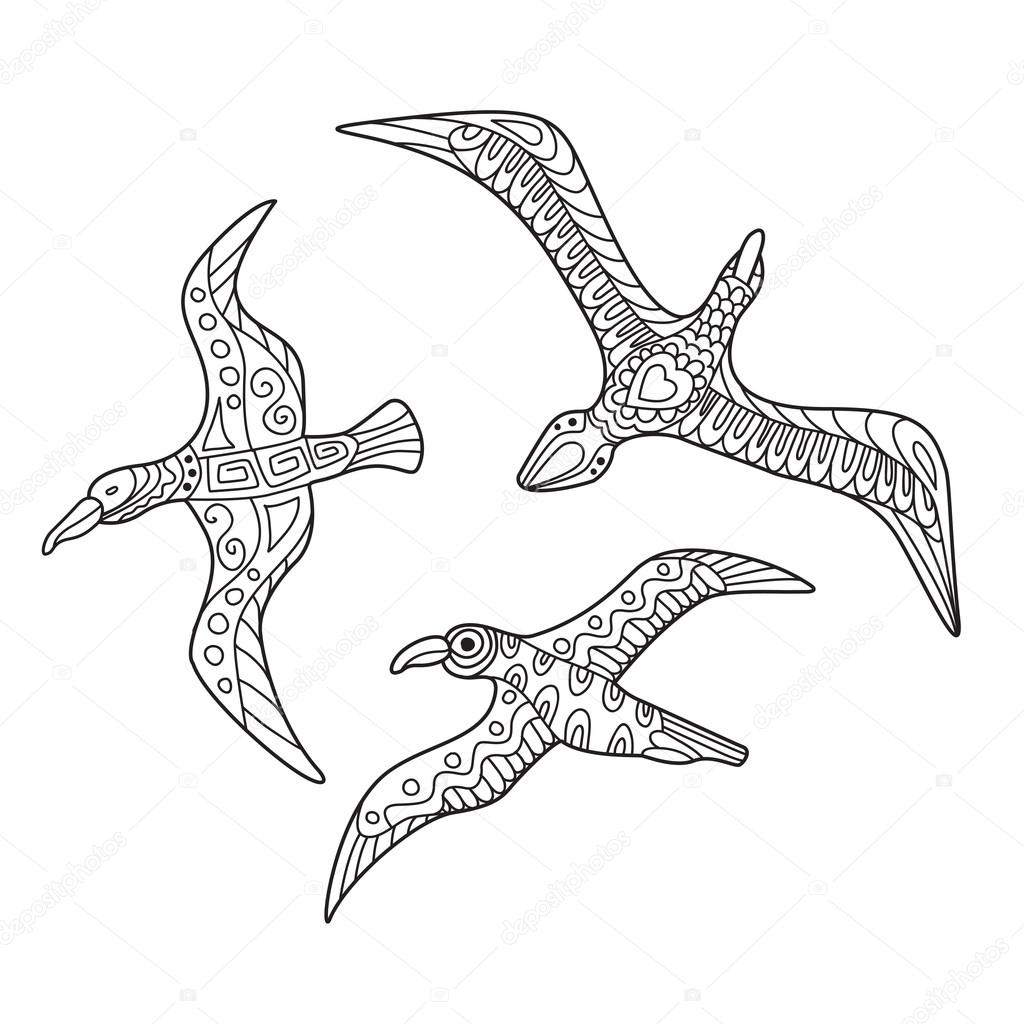 Zentangle the Baikal albatross for adult anti stress Coloring Pa