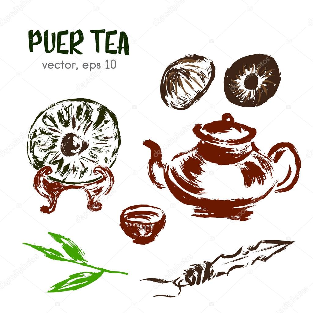 Sketched illustration of  puer tea. Hand drawn brush food ingred