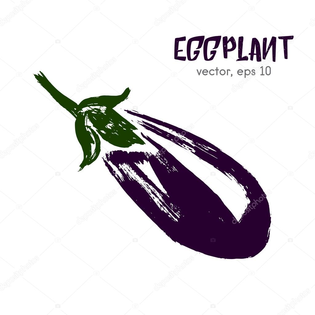 Sketched vegetable illustration of eggplant. Hand drawn brush food ingredient. Vector bio and eco icon, logo design template. Concept for organic products, harvest, healthy food, vegetarian, raw food diet.