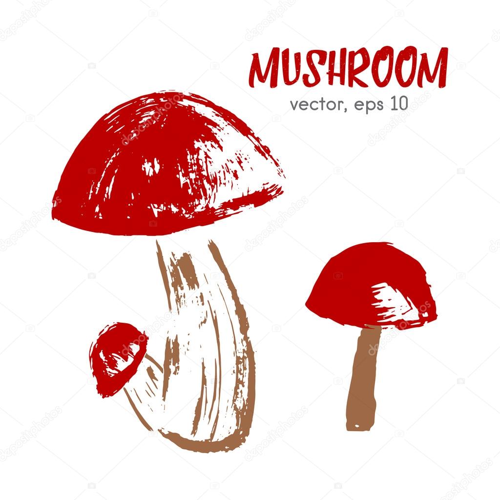 Sketched illustration of mushroom. Hand drawn brush food ingredi