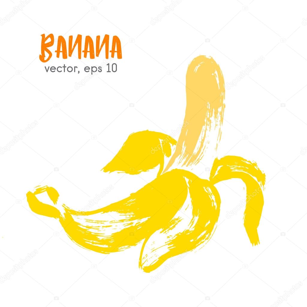 Sketched fruit illustration of bananas. Hand drawn brush food in