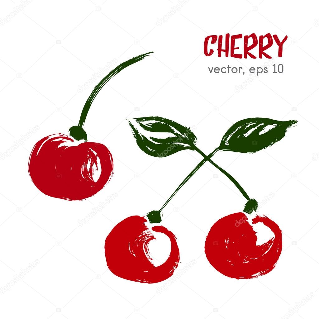Sketched  fruit illustration of cherry. Hand drawn brush food in