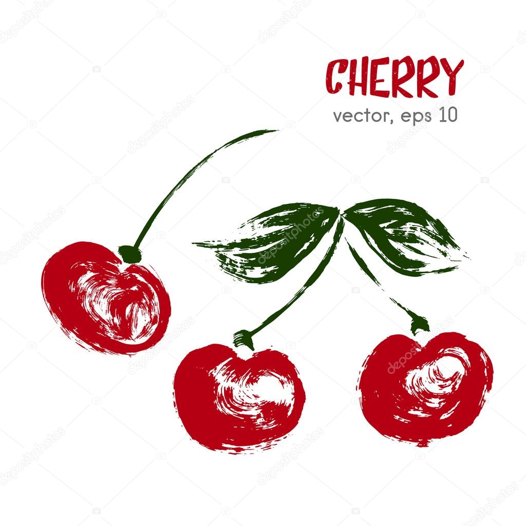 Sketched  fruit illustration of cherry. Hand drawn brush food in