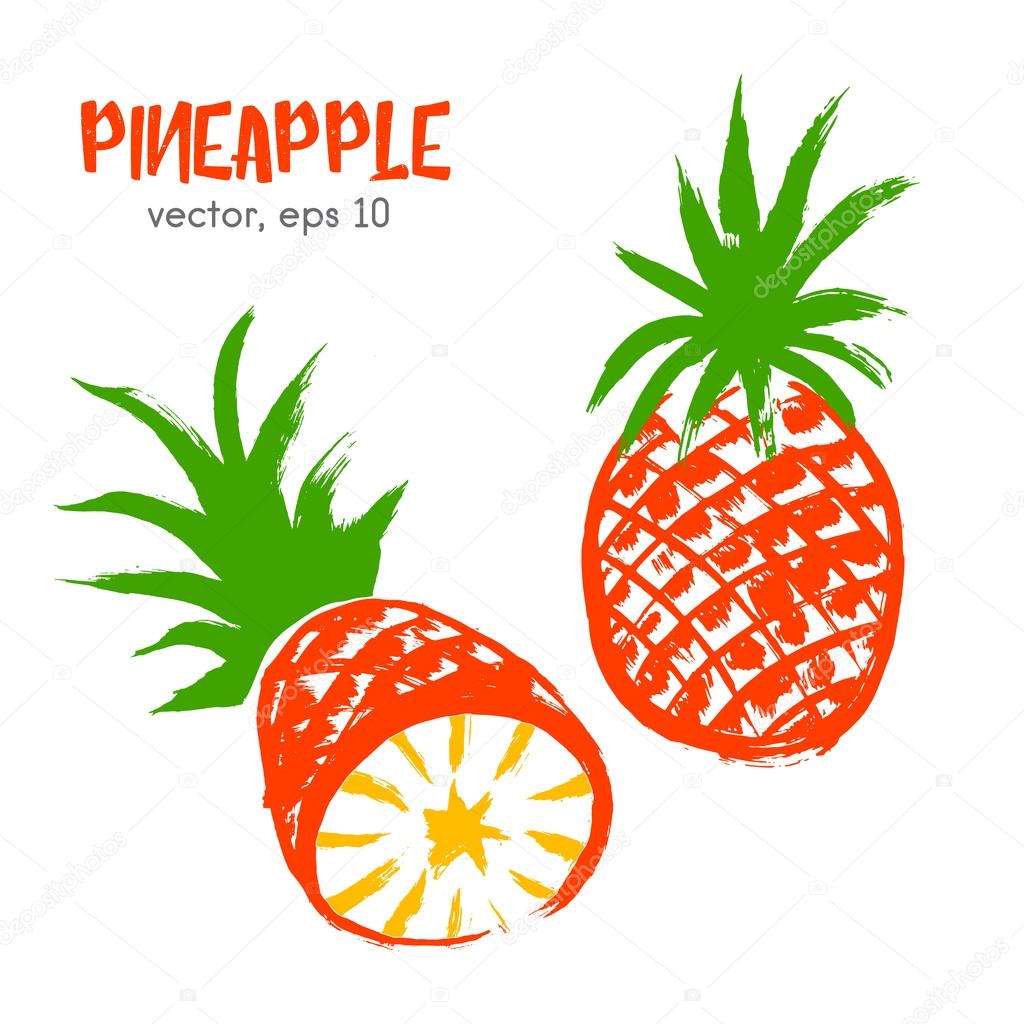 Sketched fruit illustration of pineapple. Hand drawn brush food 