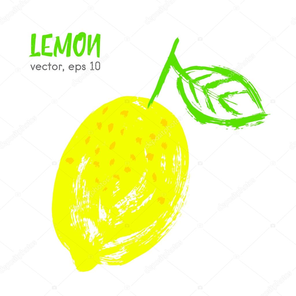 Sketched fruit illustration of lemon. Hand drawn brush food ingr