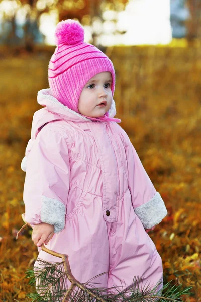 Retrato de una niña en el parque de otoño —  Fotos de Stock