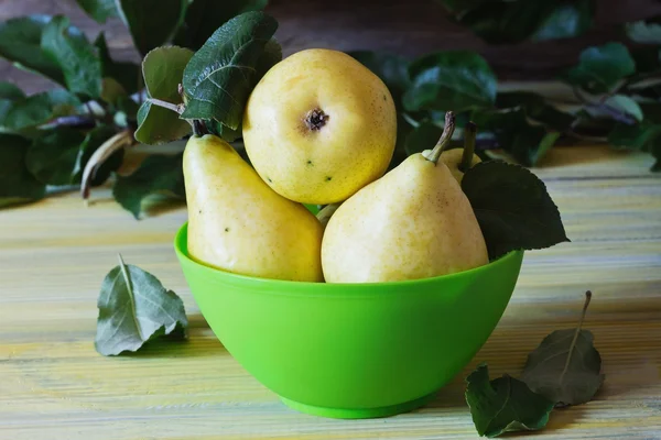 Organic ripe pears in a bowl — Stock Photo, Image