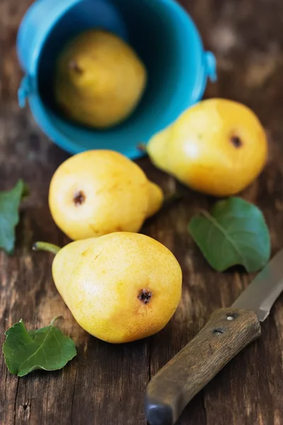 Organic ripe pears in a small bucket — Stock Photo, Image
