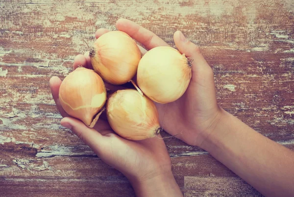 Cebollas maduras orgánicas —  Fotos de Stock