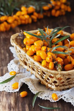 Organik olgun deniz topalak