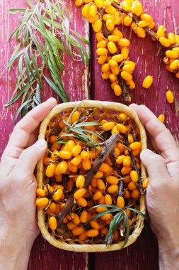 Olgun deniz cehri çilek