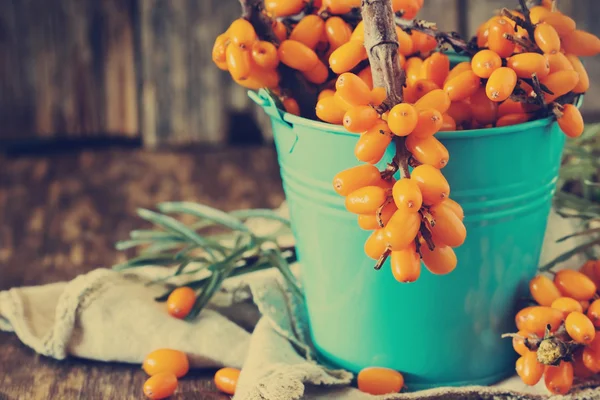 Olgun deniz cehri çilek