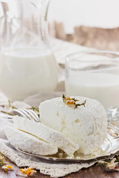 Cottage Cheese fatti in casa — Foto Stock