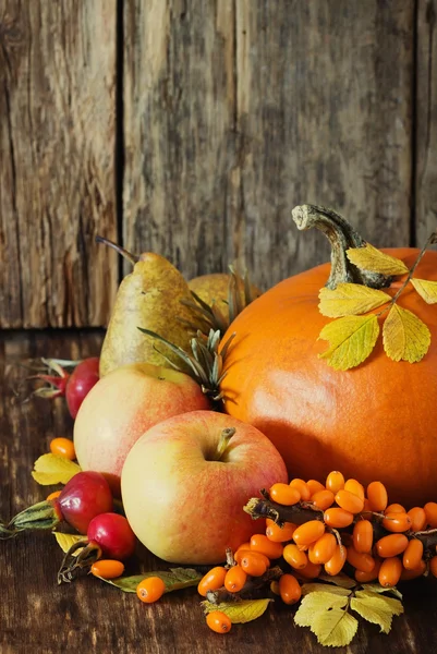 Grote heerlijke pompoen — Stockfoto