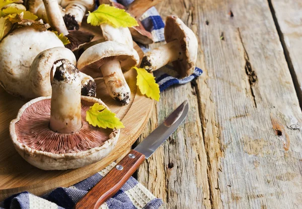 Funghi su un tagliere — Foto Stock